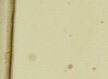 L_05 ALMOND WHITE